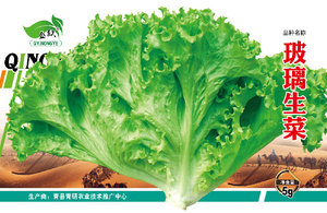 玻璃生菜×2