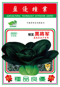 矮箕黑将军
