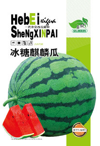 冰糖麒麟瓜