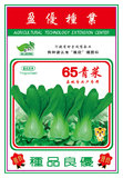 65青菜