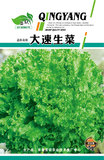 大速生菜