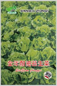 盛欣全年耐抽苔生菜