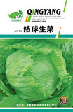结球生菜