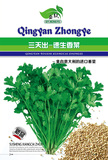 三天出速生香菜