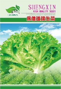 保健玻璃生菜