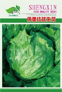 保健结球生菜