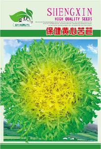 保健黄心苦苣