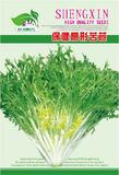 保健扇形苦苣