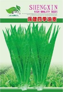 保健四季油麦