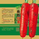 南韩红美方罐文