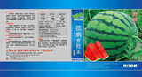 抗病京欣王文
