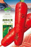 南韩红美