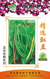 精选豇豆