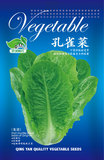 孔雀菜