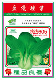 抗热605