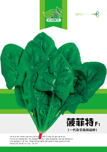 菠菲特
