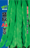 盛欣A6