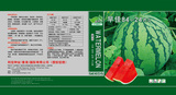 早佳84-24文