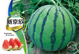 新京欣