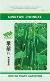 早翠水果黄瓜