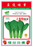 上海青鸡毛菜