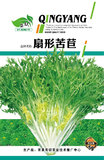 扇形苦苣