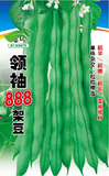 领袖架豆888