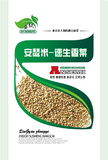 安瑟米速生香菜