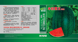 丰抗霸王文