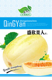 盛欣美人